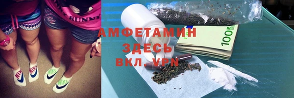 хмурый Алзамай