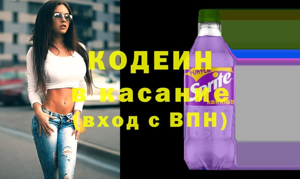 хмурый Алзамай