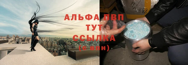 хмурый Алзамай