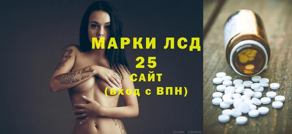 индика Вязники