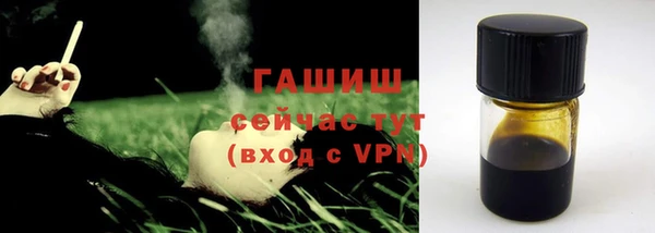 хмурый Алзамай