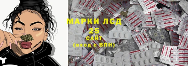 хмурый Алзамай